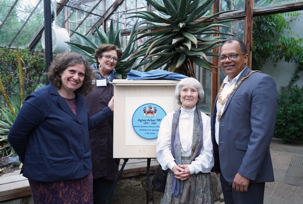 Four people stand around the blue plaque to Agnes Arber in a glasshouse, one of whom is the mayor.