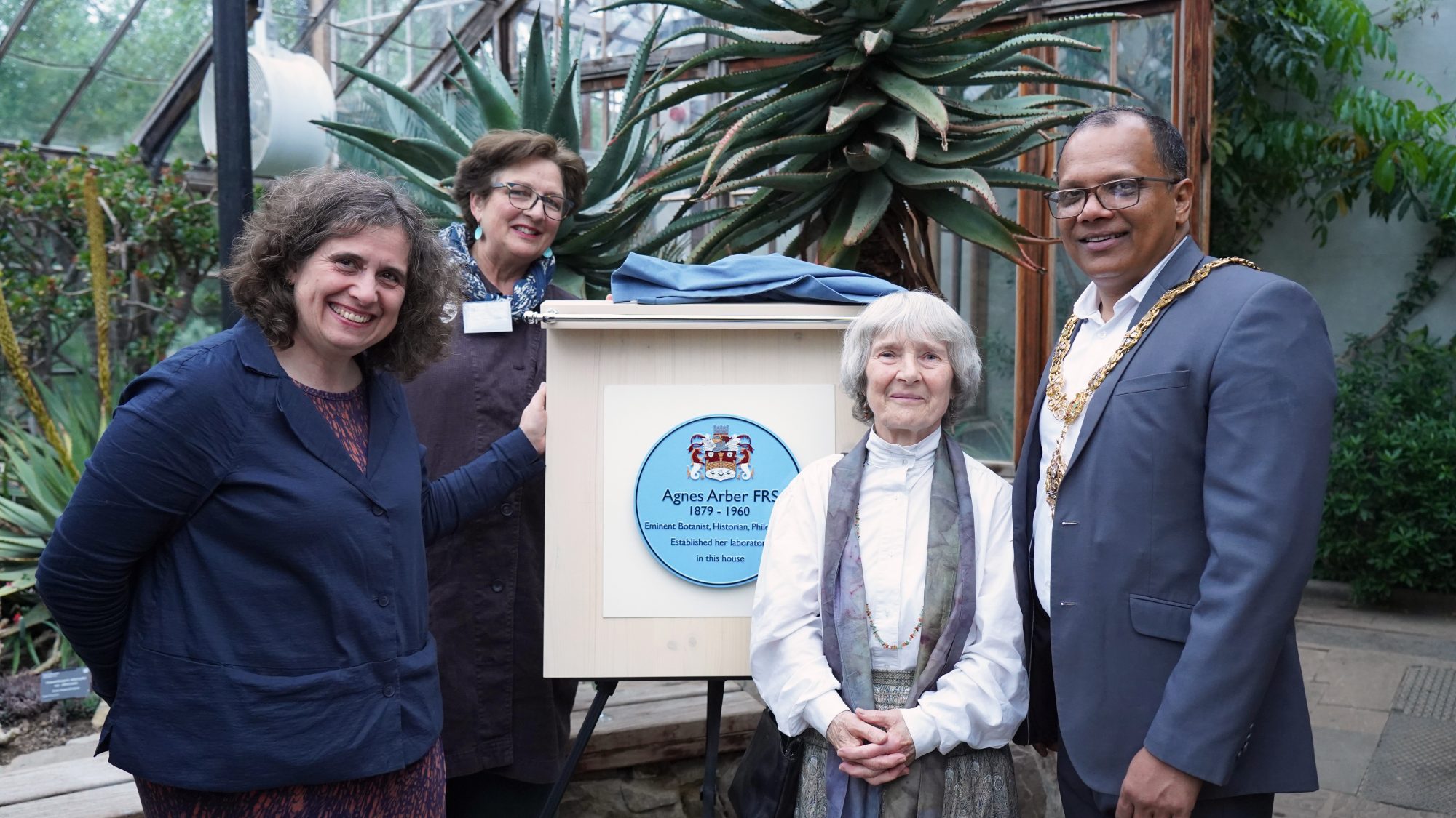 Four people stand around the blue plaque to Agnes Arber in a glasshouse, one of whom is the mayor.