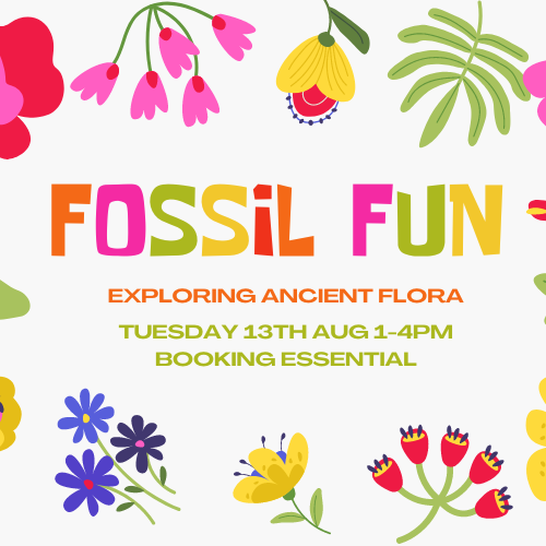 Fossil Fun: Exploring Ancient Flora