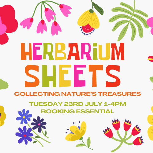 Herbarium Sheets: Collecting Nature’s Treasures