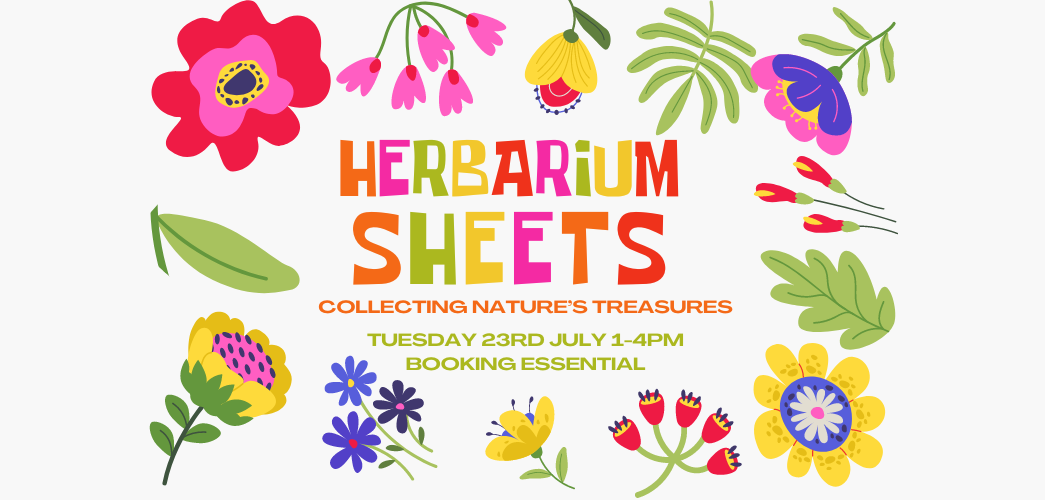 Colourful image of hand-drawn stylised flowers with the words 'Herbarium Sheets' in the centre of the image. 