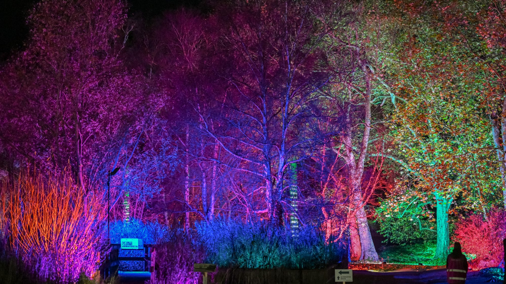 The fen display and pinetum lit up with bright colours.