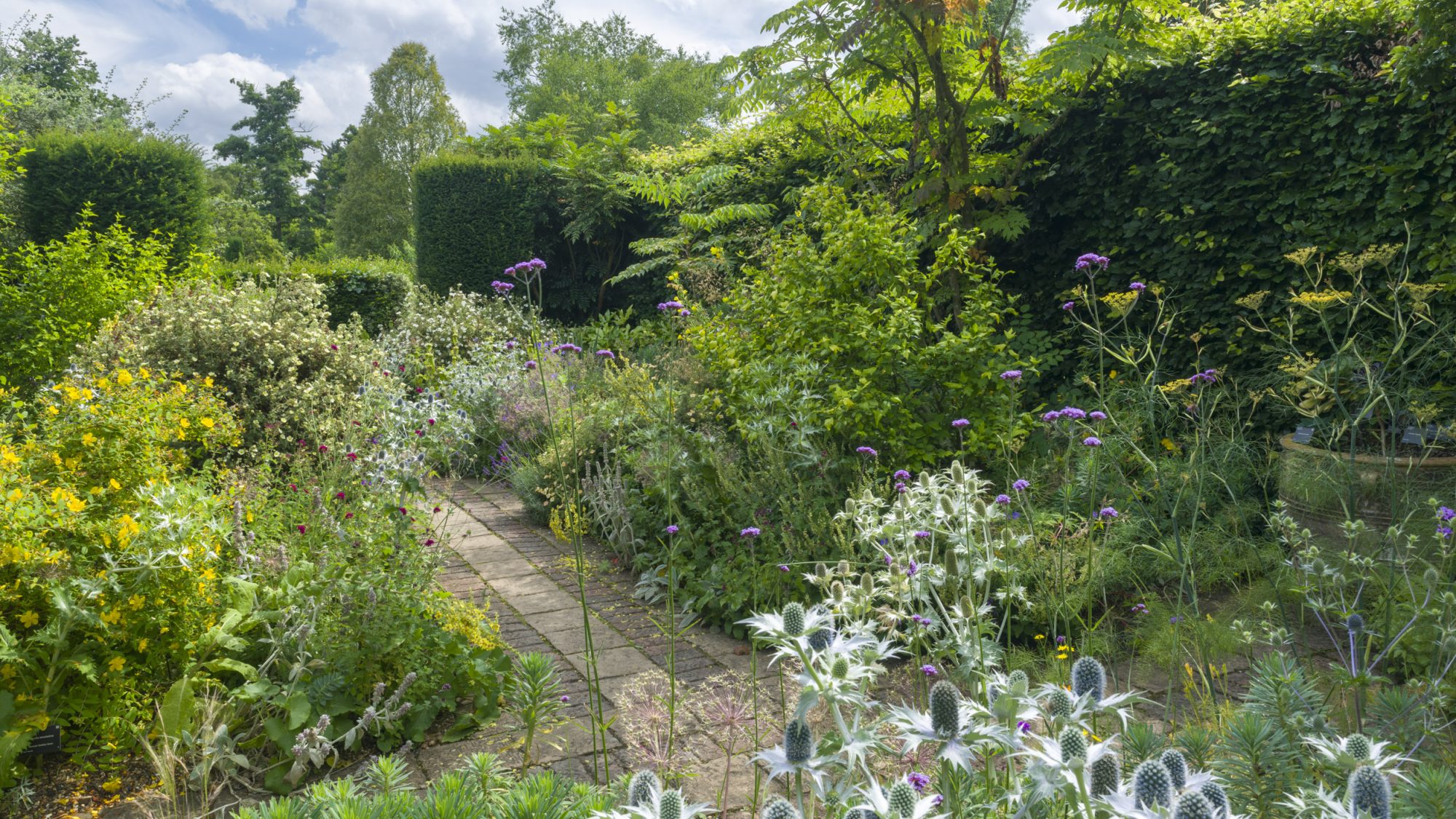 A view of a path through the Dry Garden on a summer's day.