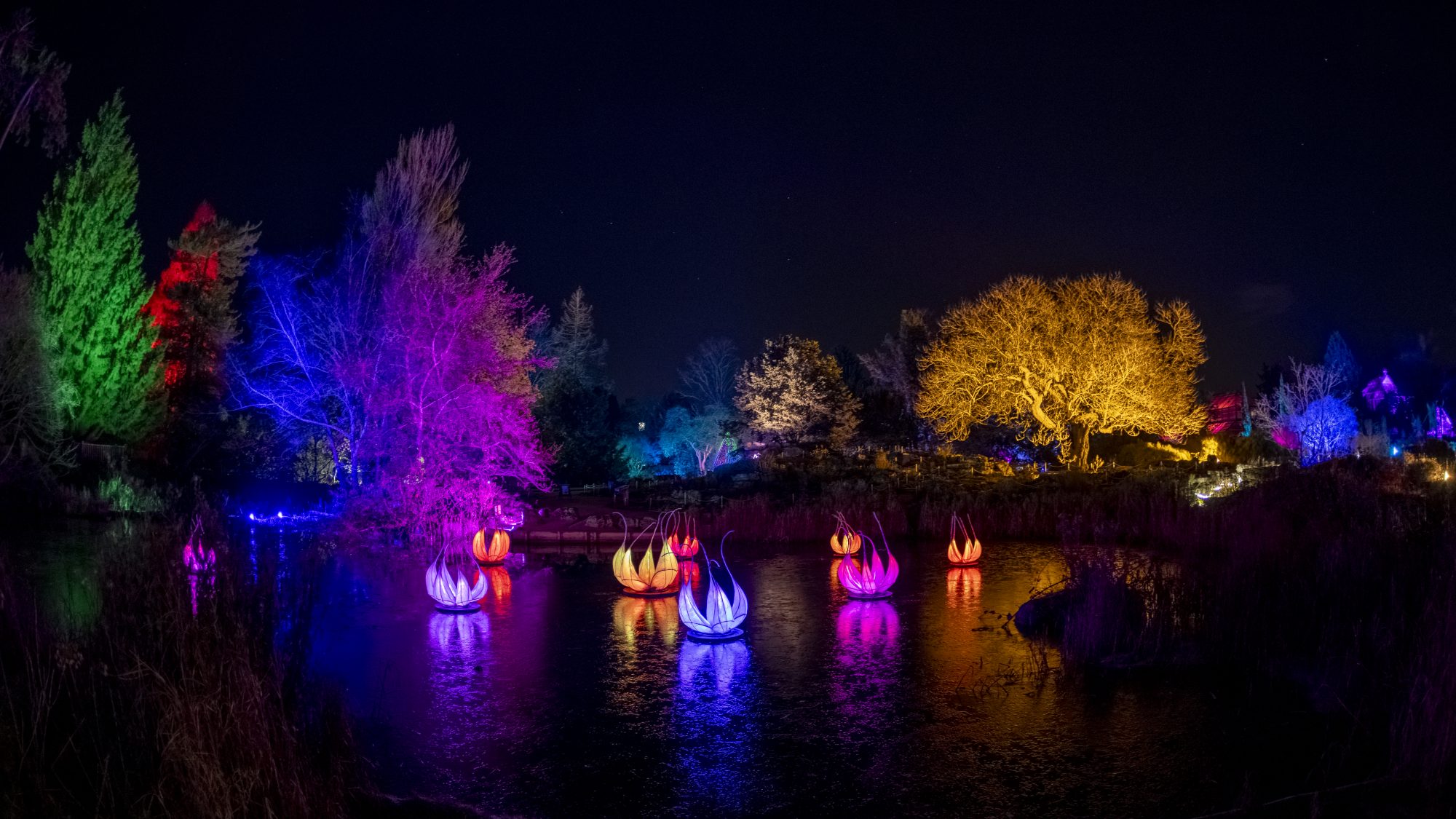A frozen lake reflects lanterns in the shape of water lilies and colourfully lit trees.