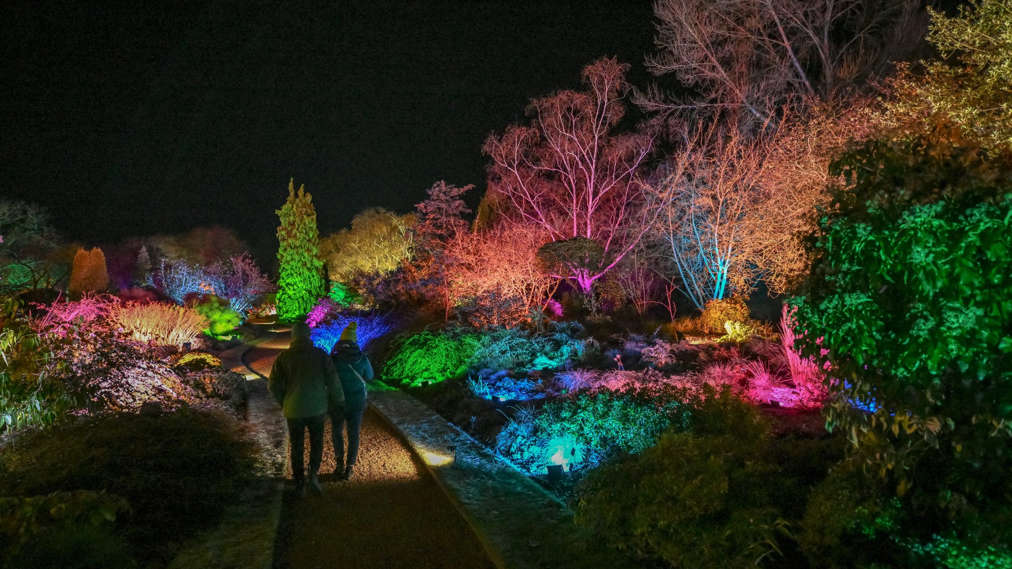 Two people walking along a lit up path through the Winter Garden