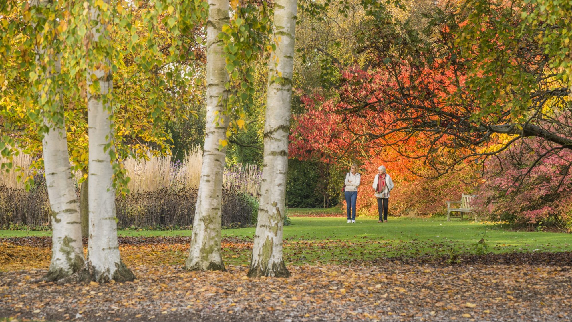 Two women walk through the Garden amongst trees with red and orange autumnal leaves.