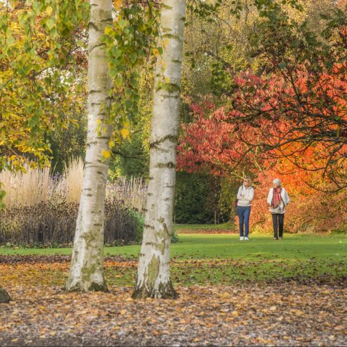 What’s On at the Garden: Autumn 2024