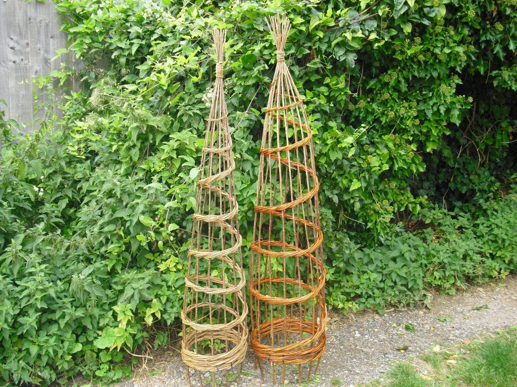 Learn to create beautiful plant support wigwams using natural willow