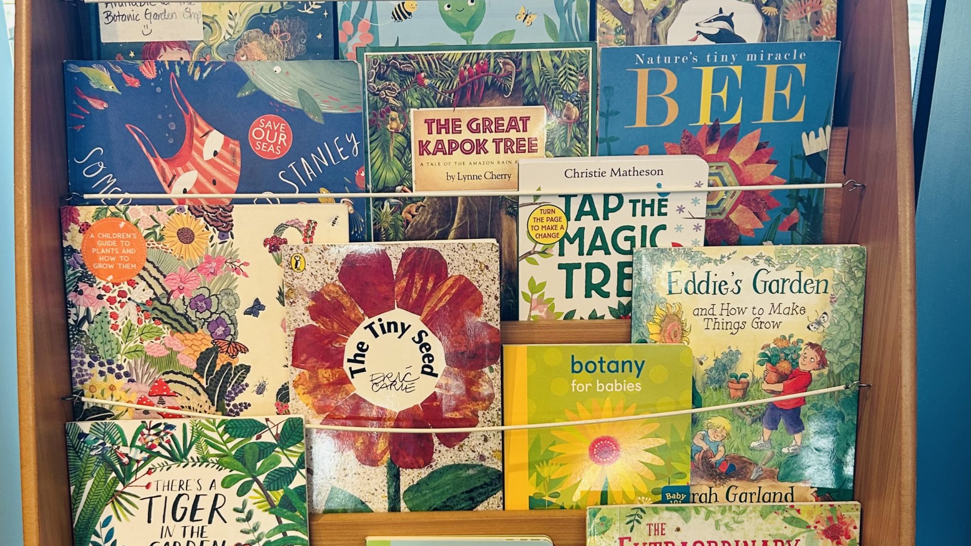 A collection of children’s picture books based on the natural world. Above the books there is a label that says 'Matthew's Library'