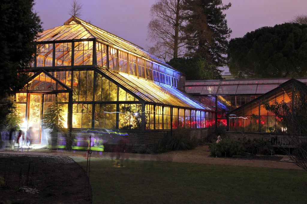 Image of Cambridge University Botanic Garden lit up after dark.