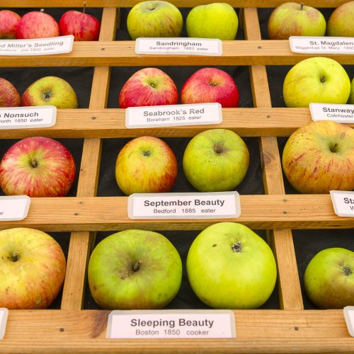 Apple Day 2026