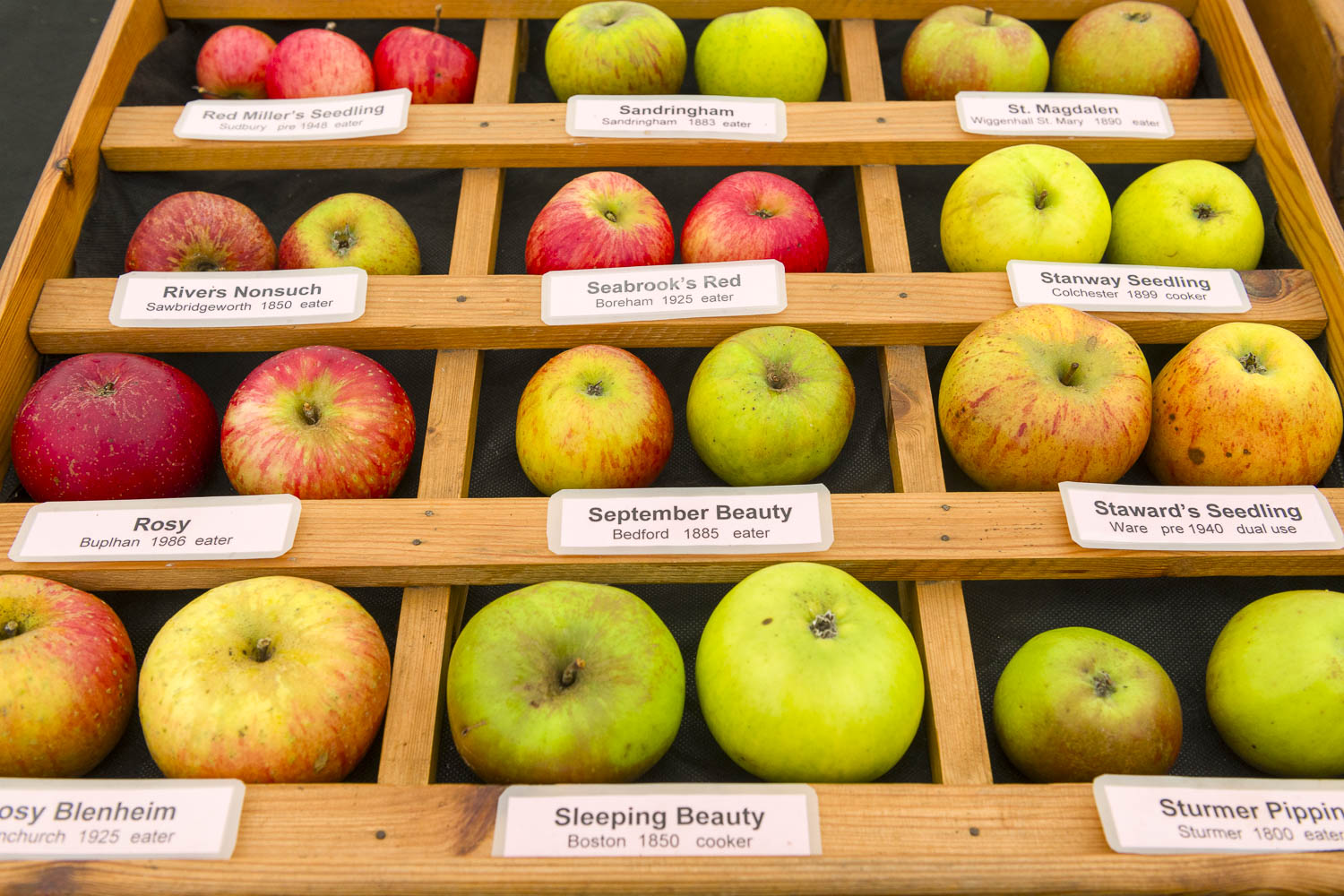 A crate with different apples.