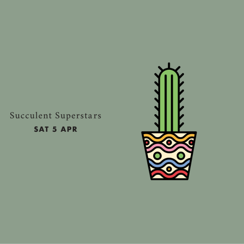 Succulent Superstars