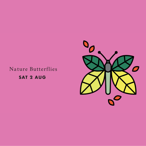 Nature Butterflies