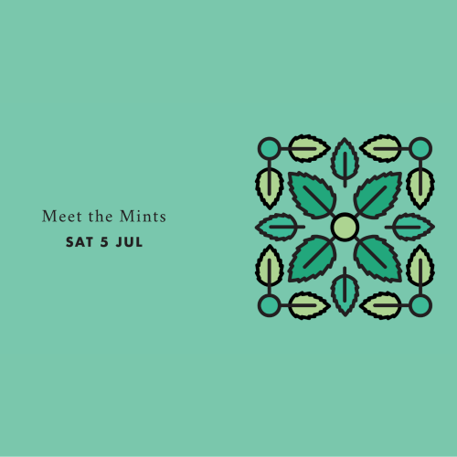 Meet the Mints