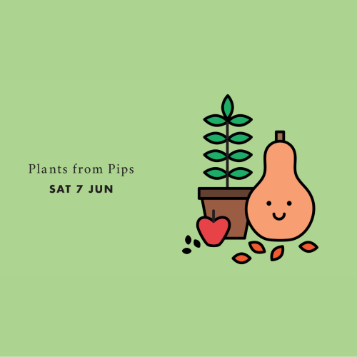 Plants from Pips