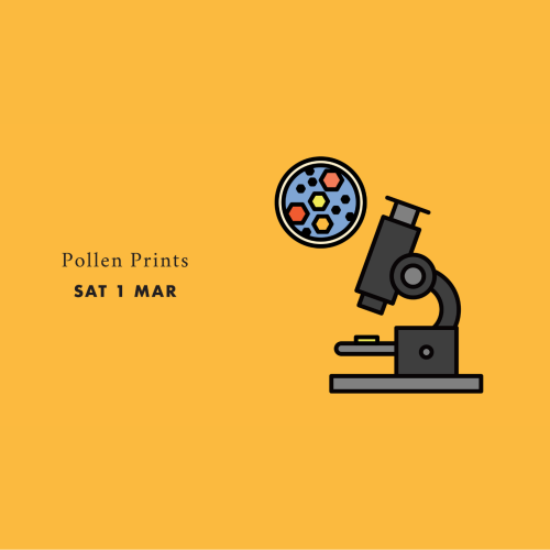 Pollen Prints