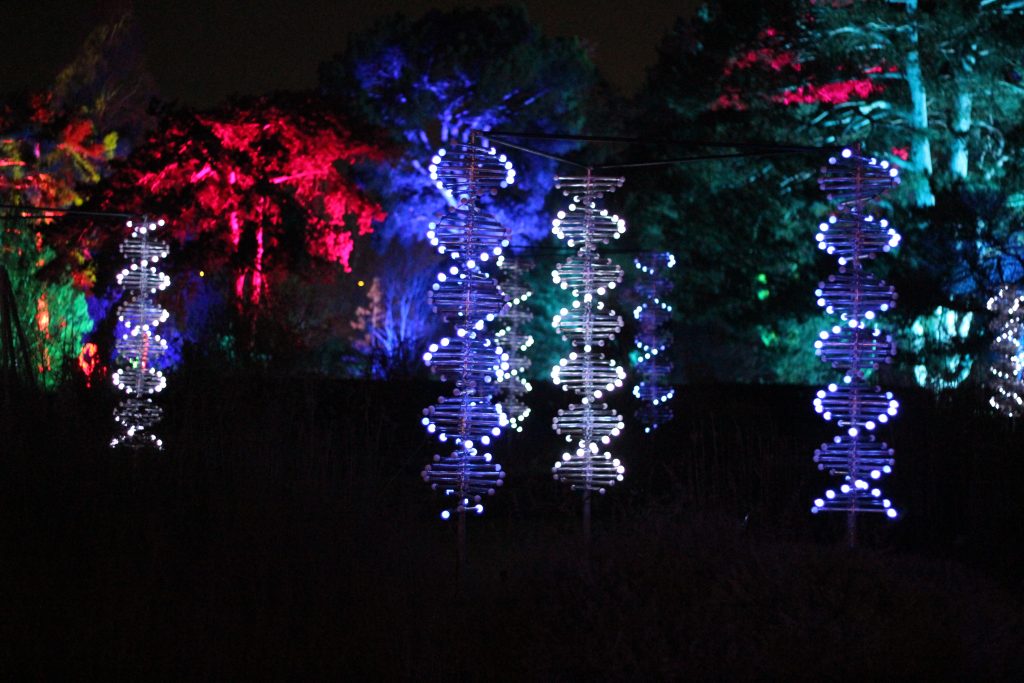 Strands of DNA made up of individual lights, against a background of colourful trees.