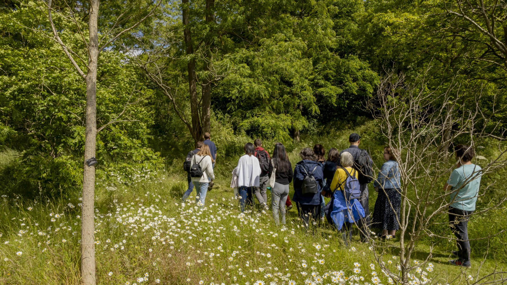 Group of visitors walking through a wooded area of the Garden