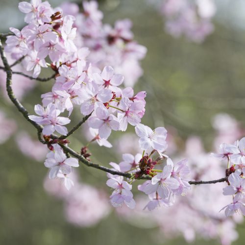 What’s On this Spring 2025