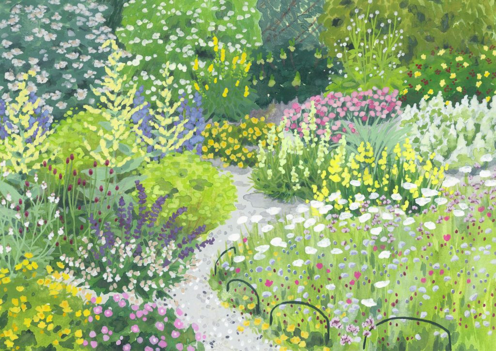 Painting of garden area with several plants. Many of the plants have their name hand-written onto the painting.