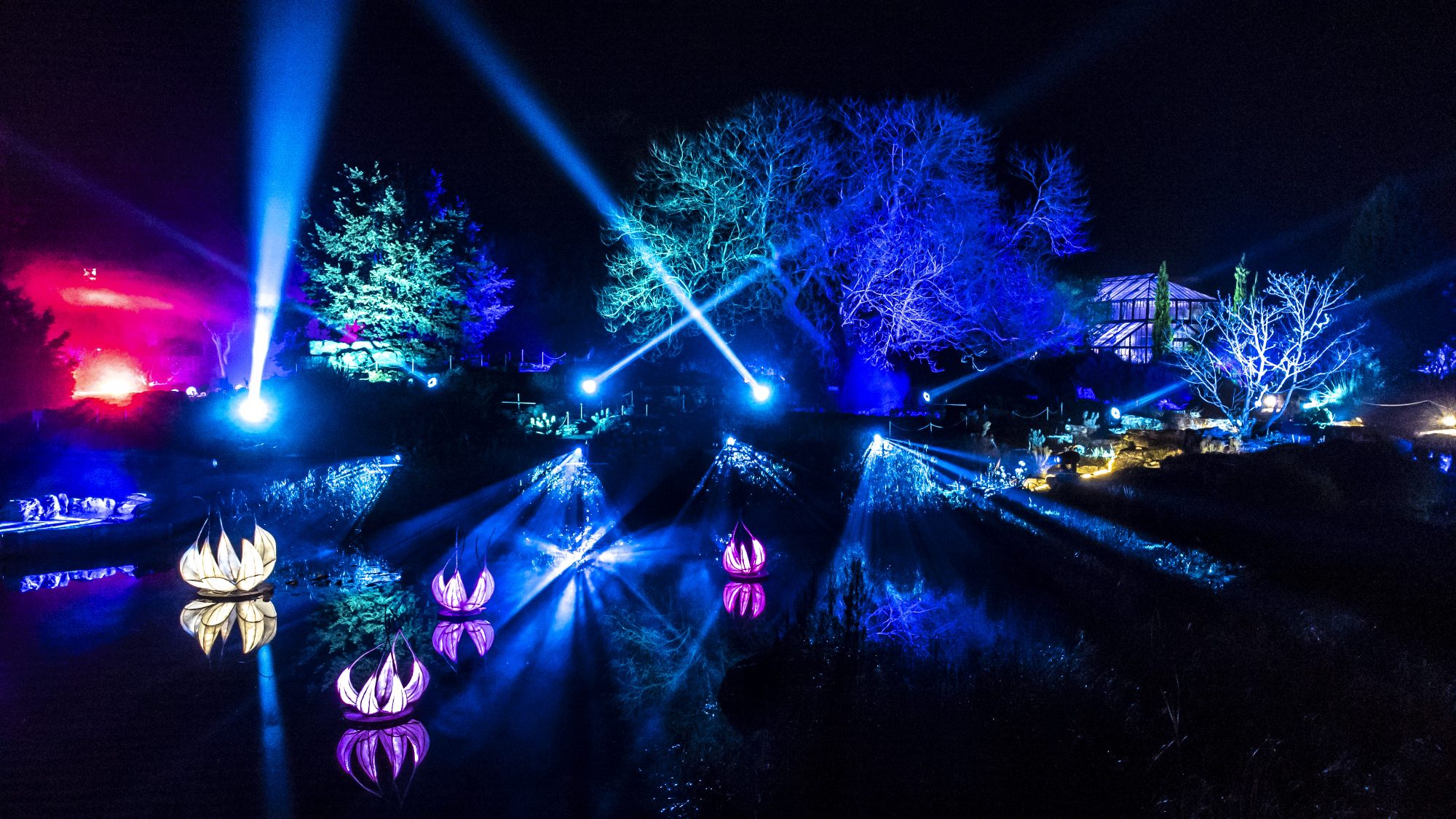 A view of the lake with coloured water lilies and trees illuminated in different colours.