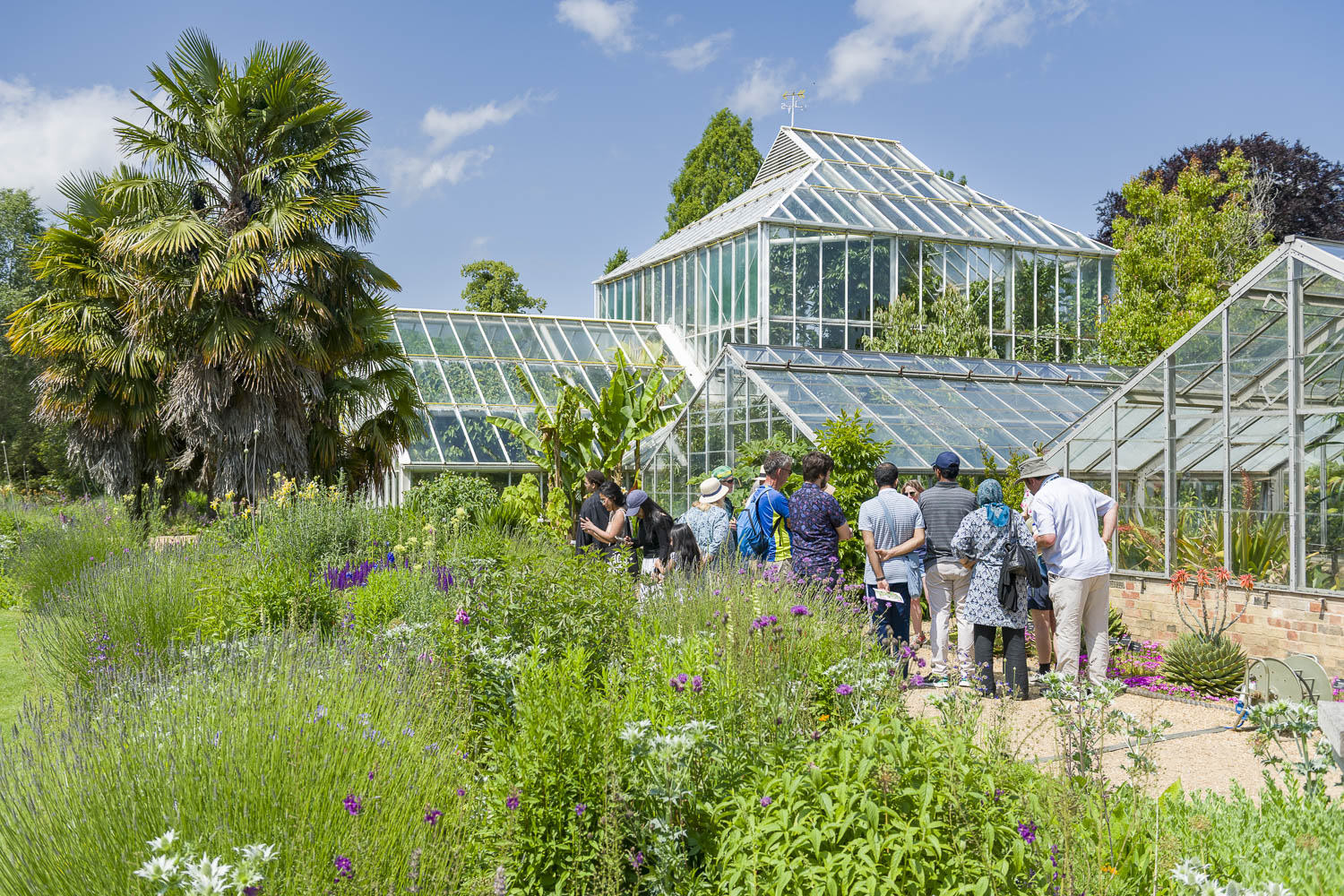 A tour group by the Glasshouses.