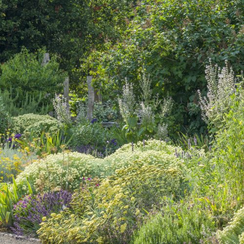 Planting for scent