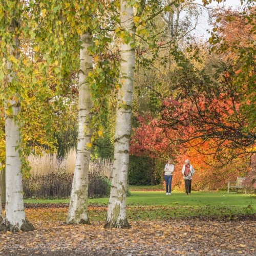 What’s on in the Garden this Autumn 2025