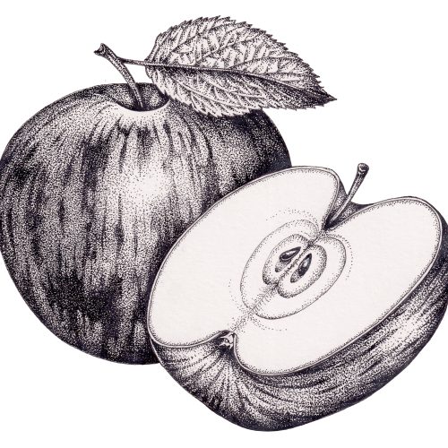 BOOKINGS CLOSED Pen and ink: Stippling workshop