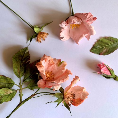 FULLY BOOKED Paper flowers: Wild roses