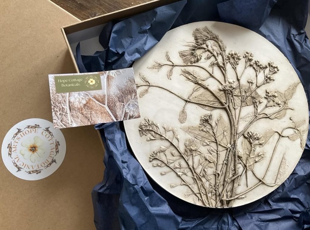 A plaster cast of stems and flowers in a tissue padded box