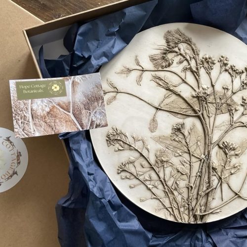 FULLY BOOKED Botanical plaster casting workshop