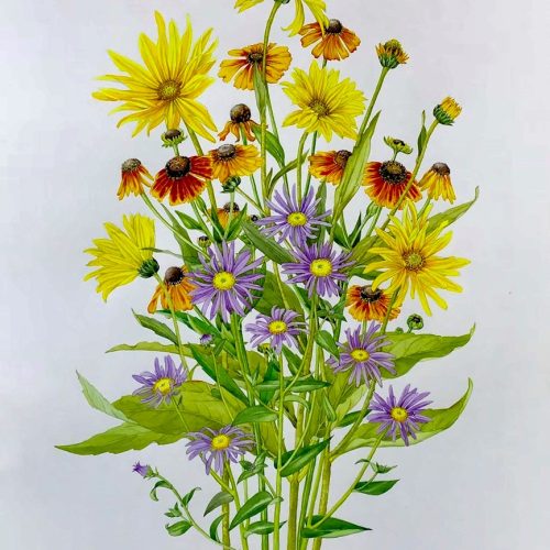 FULLY BOOKED Capturing colour in a summer bouquet