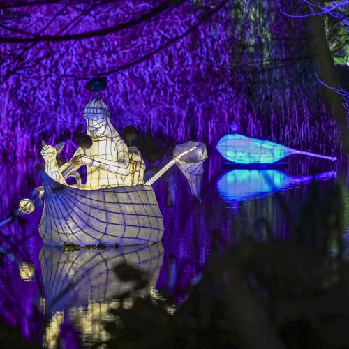 Cambridge Botanic Lights opens tonight!