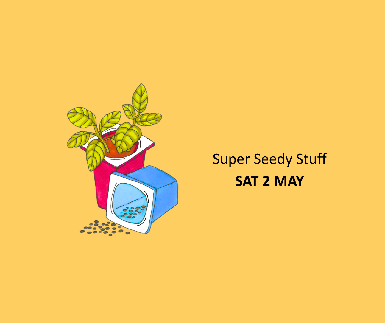 Image of two pots with plants in one pot and seeds in front of the other pot