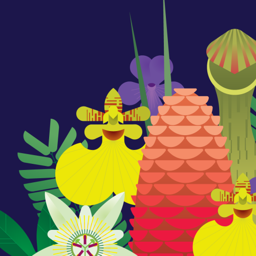 Talking Plants
