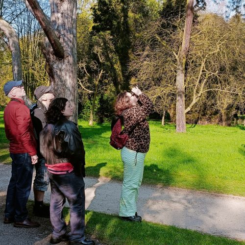 Early Bird Tours (Wednesday 22 April)
