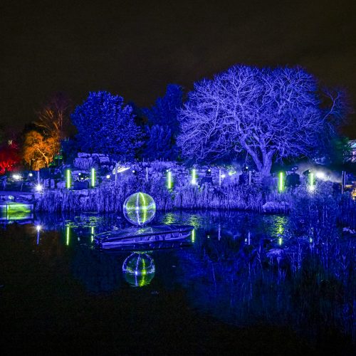 Winners announced for Cambridge Botanic Lights Photography Competition