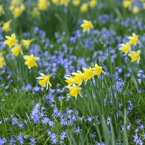 What's On this Spring 2026