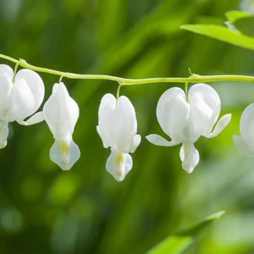 What’s on this May half-term 2026