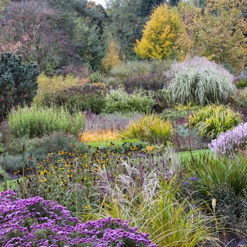 Friends’ Outing: Bressingham Gardens