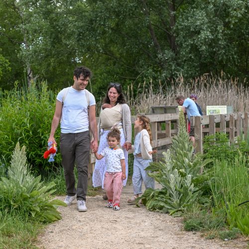 Summer of savings at Cambridge University Botanic Garden