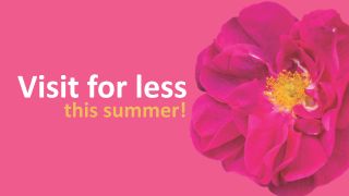 Summer of savings at Cambridge University Botanic Garden