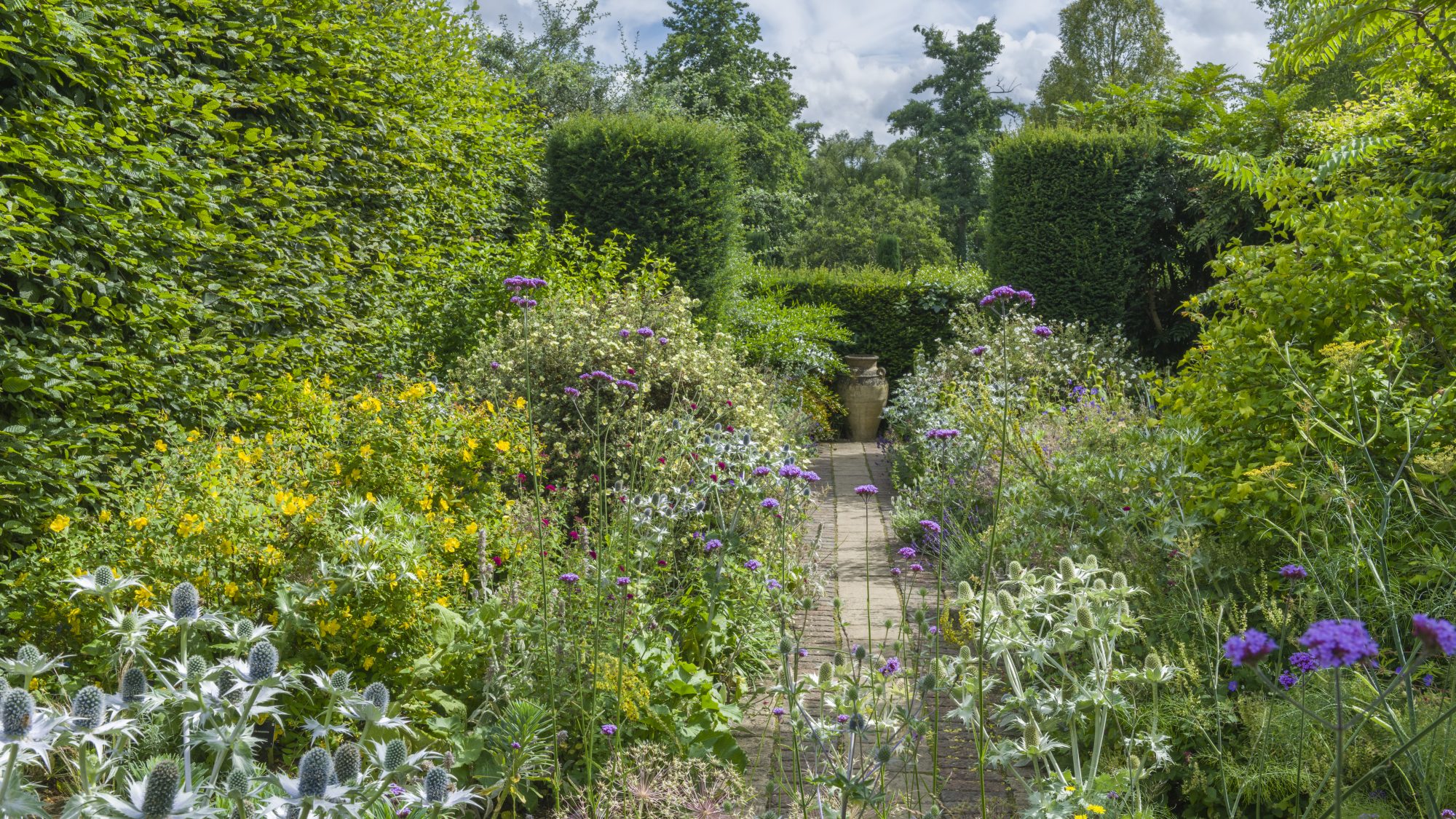 Green shrubs with yellow, purple and blue flowers and plantings line a narrow path in a garden. It is enclosed by tall buses and trees can be seen in the background.