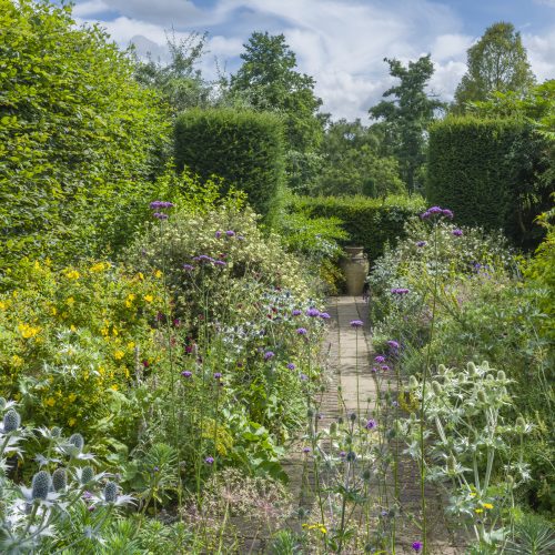 Right plant, right place: Gardening for a changing climate