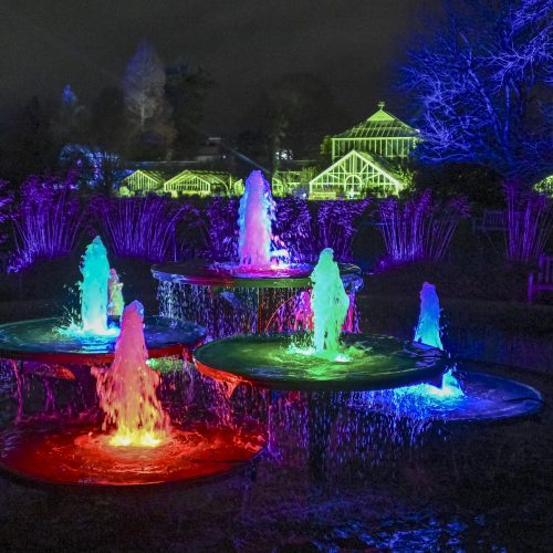 Buy tickets to Cambridge Botanic Lights