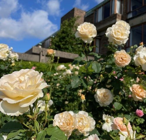 Friends’ Tour: Churchill College Garden