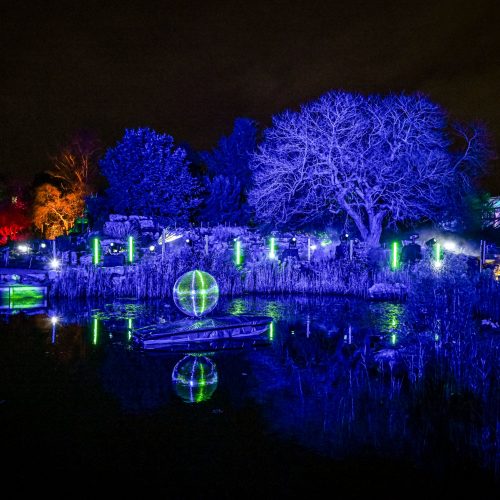 Cambridge Botanic Lights 2026