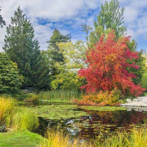 What's on this autumn 2026